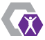 website icon